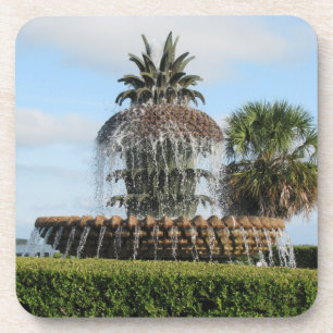 Charleston Sc-Ananas-Brunnen-Untersetzer Untersetzer