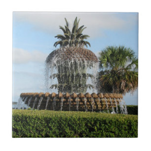 Charleston SC Ananas Fountain Tile Fliese