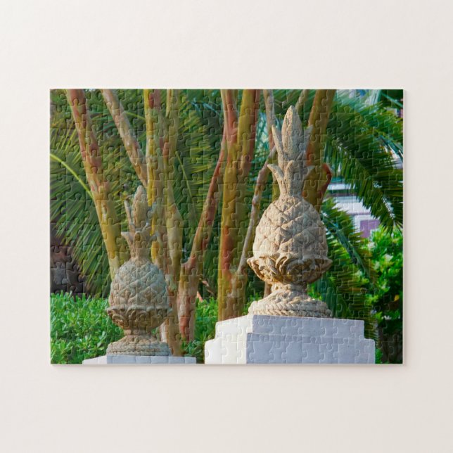 Charleston South Carolina. (Horizontal)