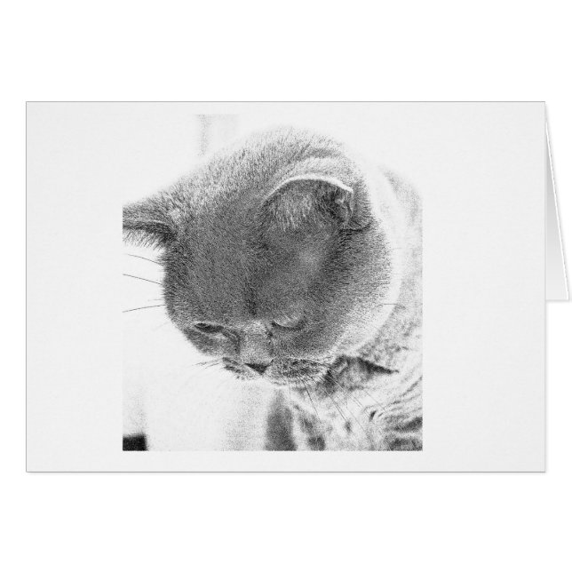 Charlie : Croquis de photo d'un chat bleu (Devant horizontal)