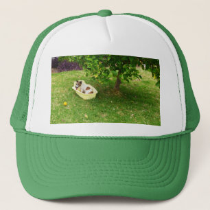 Charlie der Fuchs Terrier Bath Time, Truckers Hat Truckerkappe