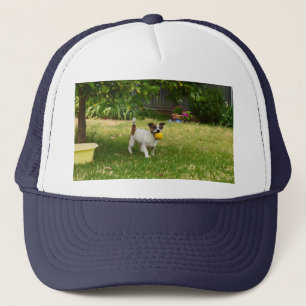 Charlie der Fuchs Terrier Play Time, Truckers Hat Truckerkappe