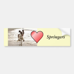 Charlie der Springer Autoaufkleber