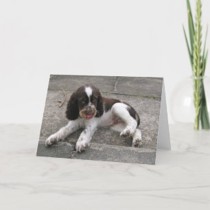 Charlie der Springer! Karte
