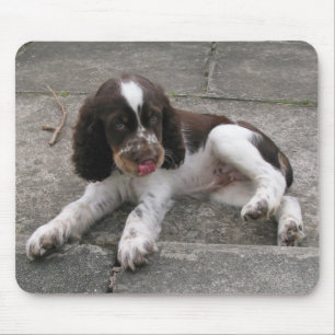 Charlie Der Springer! Mousepad