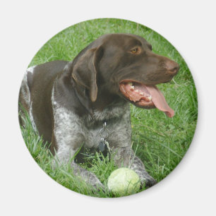 Charlie-Magnet Magnet