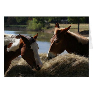 Charlie Mule und Dulce Maria