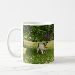 Charlie The Fox Terrier Ball Play, Café Mug