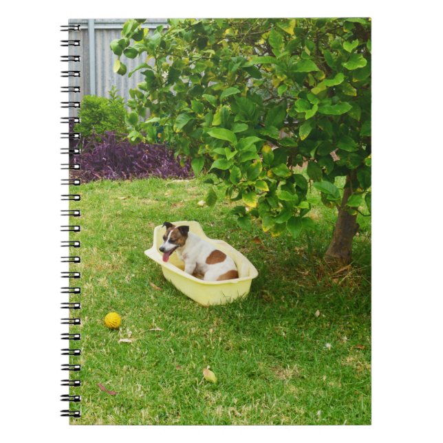 Charlie The Fox Terrier Bath Time, Notebook Notizblock (Vorderseite)