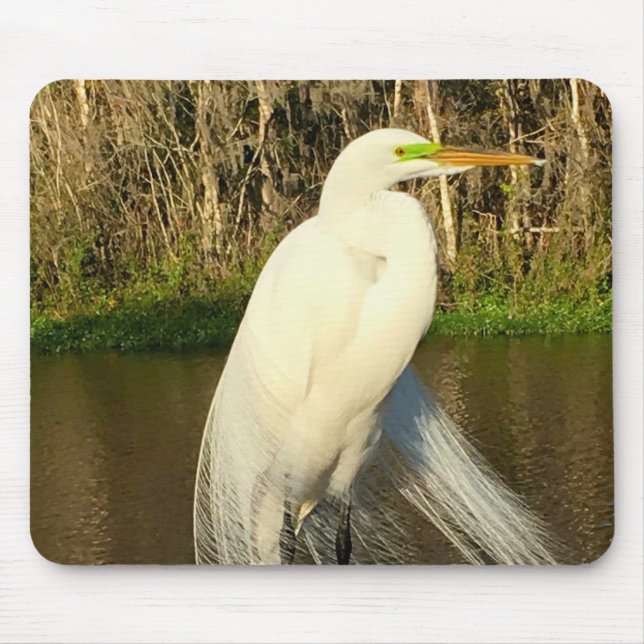 Charlie The Great Egret Mousepad (Vorne)