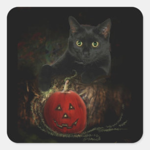 Charlie und sein magischer Pumpkin-Sticker Quadratischer Aufkleber