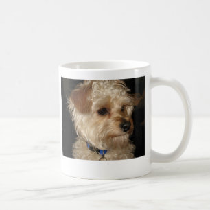 Charlien Tasse