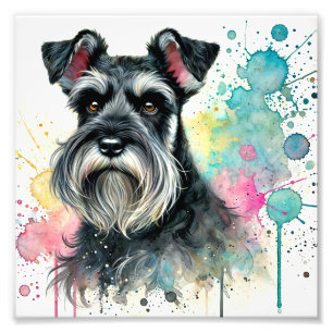 Charmante Miniatur Schnauzer Wasserfarbe Kunst, Di Fotodruck