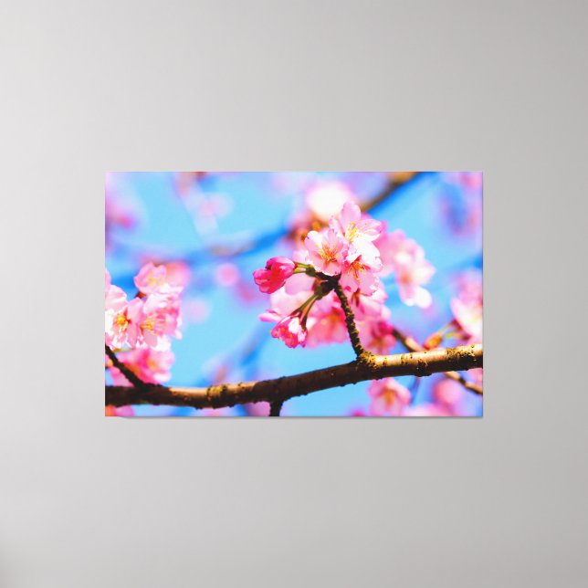 Charmante Schönheit der Sakura Blume im Springtime Leinwanddruck (Vorderseite)