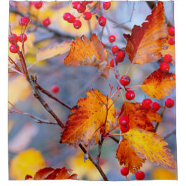 Charmante Waldbeeren im Herbst Duschvorhang