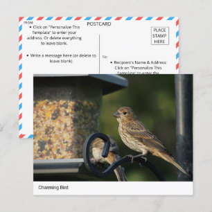 Charmanter Gartenvogel bei der Feeder Postkarte