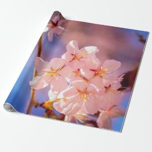 Charmanter Haufen Sakura-Blume im Frühjahr Geschenkpapier