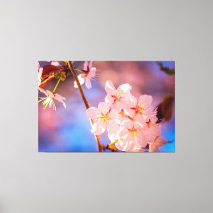 Charmanter Haufen Sakura-Blume im Frühjahr Leinwanddruck
