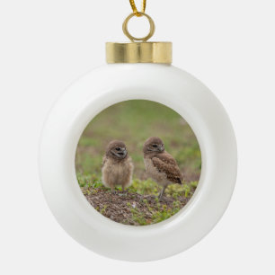 Charmanter Kaninchenkauz aus Florida Keramik Kugel-Ornament