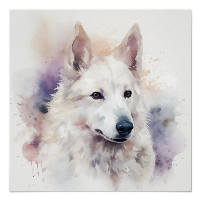 Charmantes weißes Sapsali Dog Aquarellbild Poster (Vorderseite)