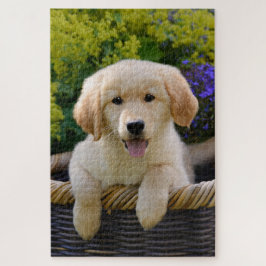 Charming Goldie Doppy Puppy Game