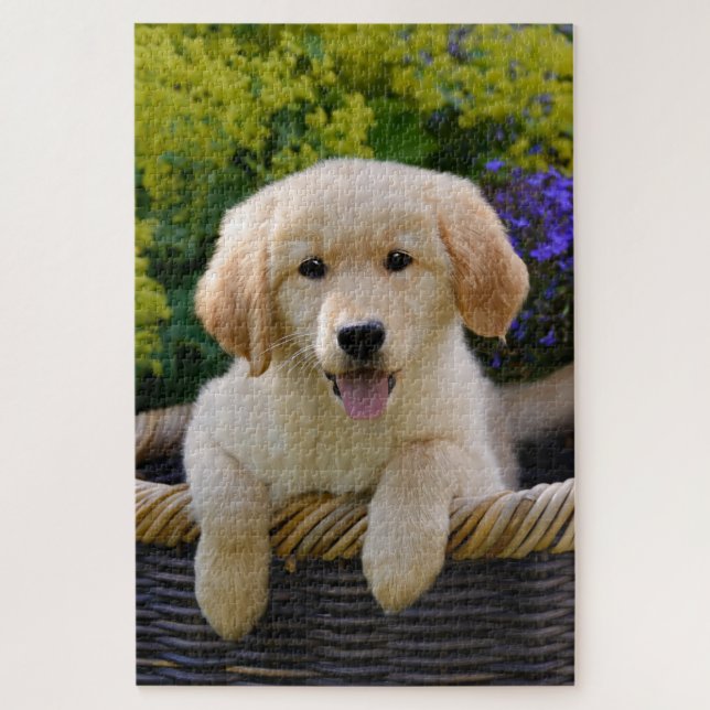 Charming Goldie Doppy Puppy Game (Vertikal)