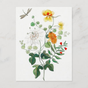 Charming Still Life Blume Postkarte