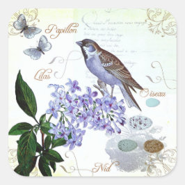Charming Vintager französischer Vogel-Text-Collage Quadratischer Aufkleber