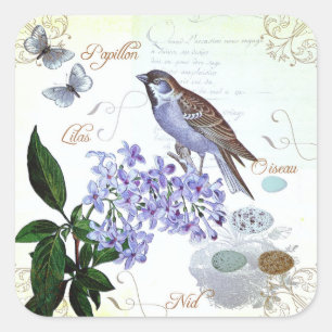 Charming Vintager französischer Vogel-Text-Collage Quadratischer Aufkleber