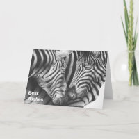 Charming Zebras Geburtstagskarte