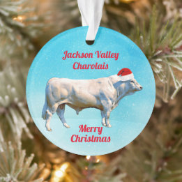 Charolais Bull à Santa Hat 