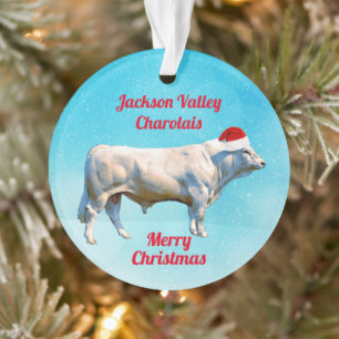 Charolais Bull à Santa Hat 