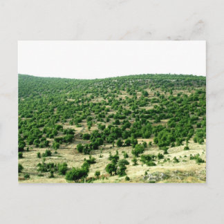 Charre, Libanon Postkarte