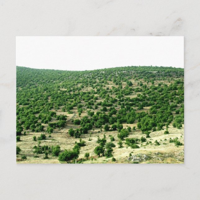 Charre, Libanon Postkarte (Vorderseite)