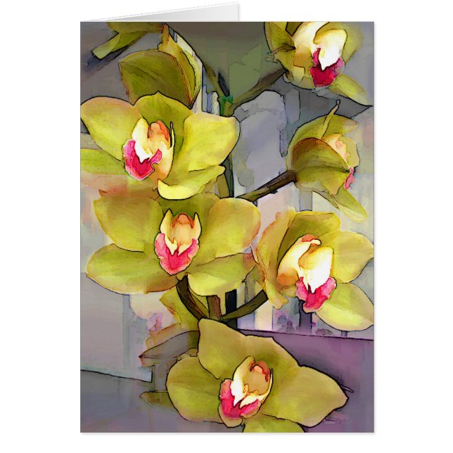 Chartreuse Cymbidiums (Vorne)