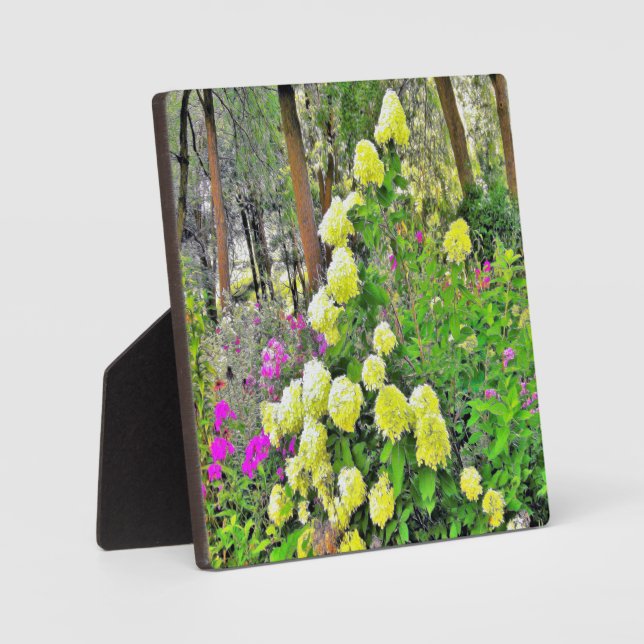 Chartreuse Green Limelight Hydrangea Garden Fotoplatte (Vorderseite)