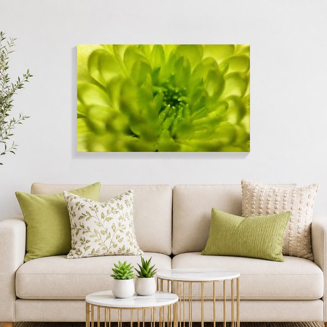 Chartreuse Green Mum Wrapped Canvas Leinwanddruck (Chartreuse Green Mum Wrapped Canvas Print)