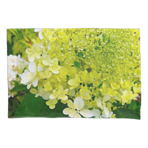 Chartreuse Grün, Limelight Hortensie, Kissenbezug