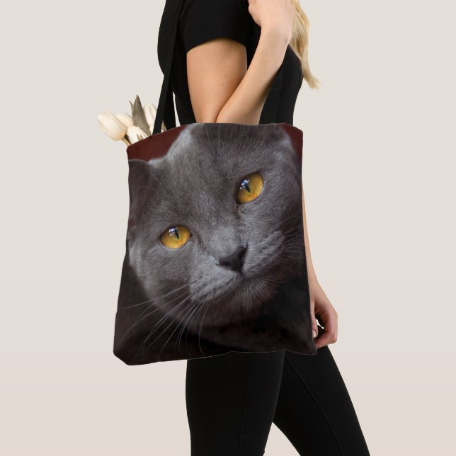 Chartreux Tasche (Von Nahem)