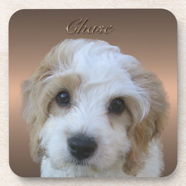 Chase Cork Untersetzer (Vorderseite)