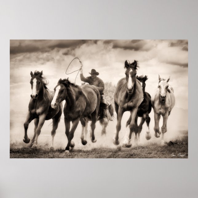 Chase I Poster (Vorne)