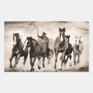 Chase I Rechteckiger Aufkleber