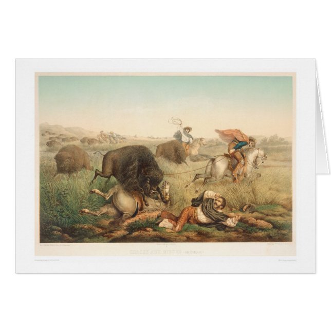 Chasse à bison (0008A) (Devant horizontal)