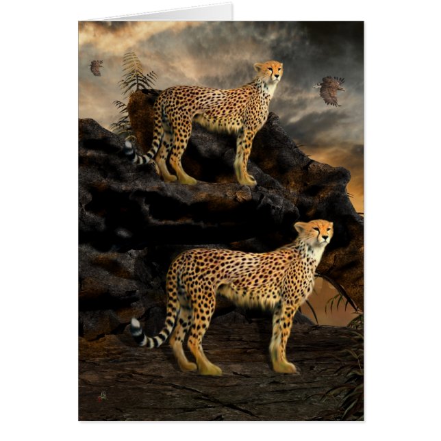 Chasse à Paris - Cheetahs (Devant)