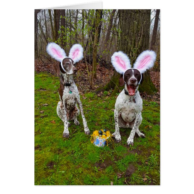 Chasse aux oeufs de Pâques et Chiens de fête Carte (Devant)