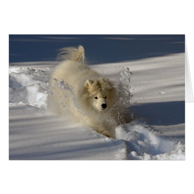 Chasse-neige - carte vierge (Devant horizontal)