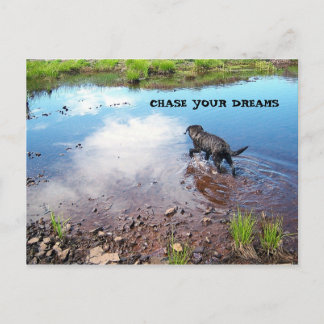 Chasser votre carte postale Dreams