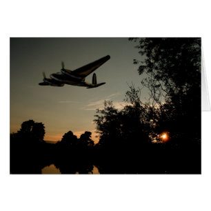 Chasseur nocturne de moustiques