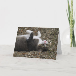 Chat à l'envers de la carte Pâques