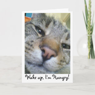 Chat affamé Drôle Salutation / Carte d'anniversair